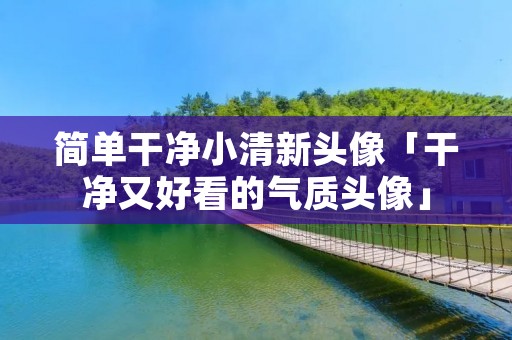 简单干净小清新头像「干净又好看的气质头像」