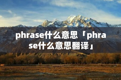 phrase什么意思「phrase什么意思翻译」
