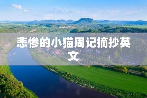 悲惨的小猫周记摘抄英文