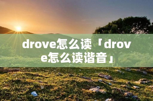 drove怎么读「drove怎么读谐音」 drove怎么读「drove怎么读谐音」