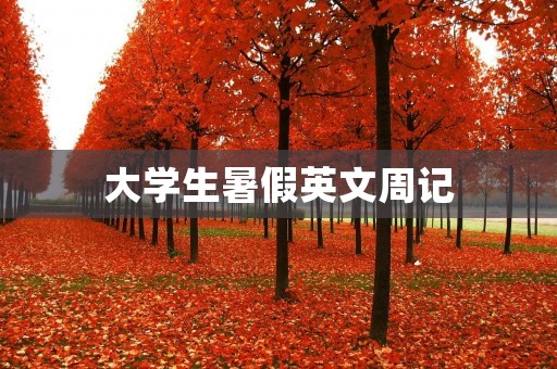 大学生暑假英文周记