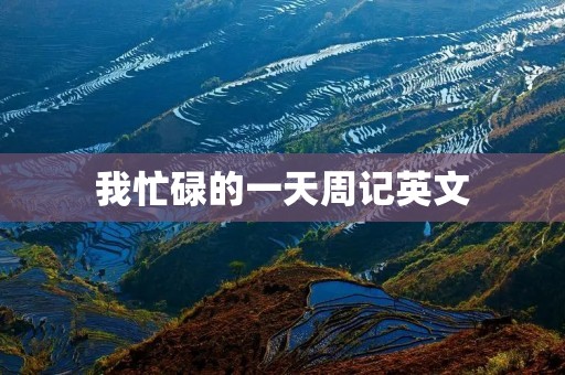 我忙碌的一天周记英文