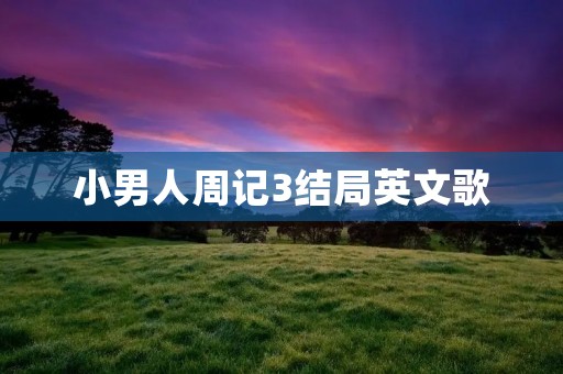 小男人周记3结局英文歌