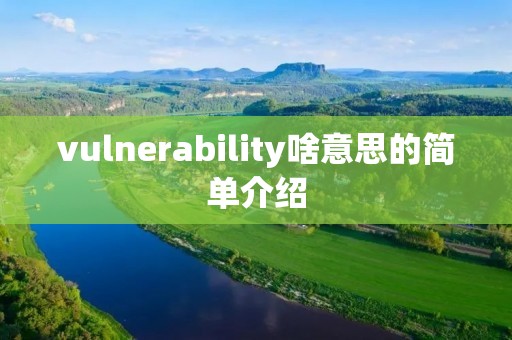 vulnerability啥意思的简单介绍