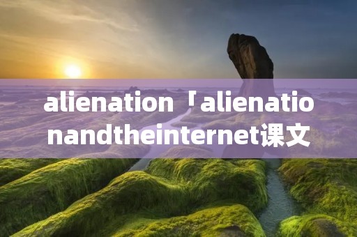 alienation「alienationandtheinternet课文ppt」