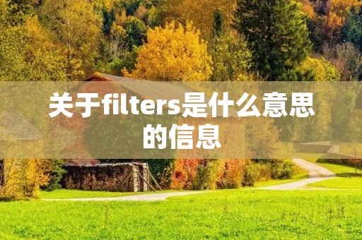 关于filters是什么意思的信息