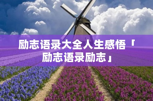 励志语录大全人生感悟「励志语录励志」