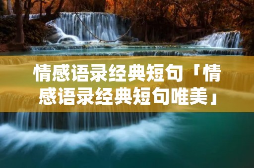 情感语录经典短句「情感语录经典短句唯美」