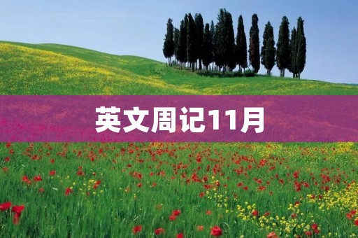 英文周记11月
