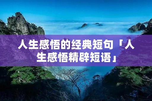人生感悟的经典短句「人生感悟精辟短语」