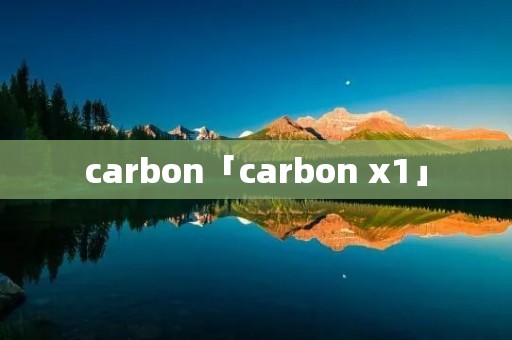 carbon「carbon x1」 carbon「carbon x1」