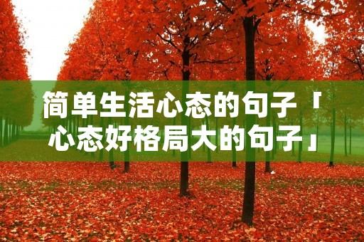 简单生活心态的句子「心态好格局大的句子」