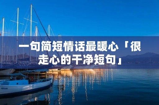 一句简短情话最暖心「很走心的干净短句」