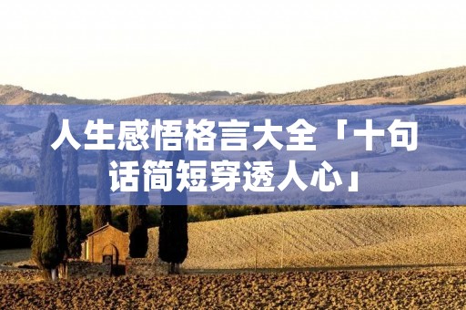 人生感悟格言大全「十句话简短穿透人心」