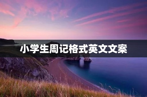 小学生周记格式英文文案