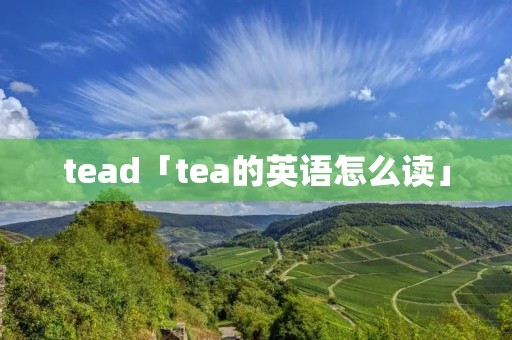 tead「tea的英语怎么读」