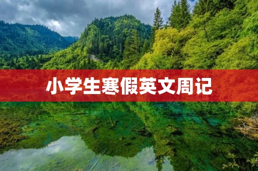 小学生寒假英文周记