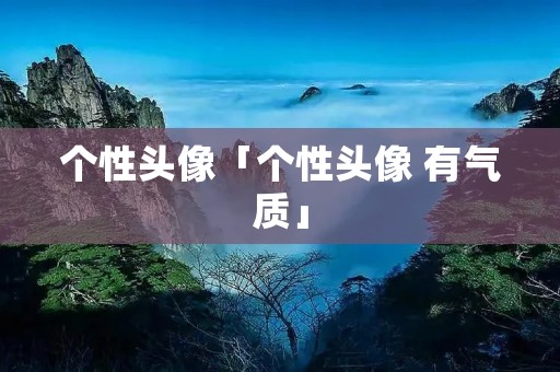 个性头像「个性头像 有气质」