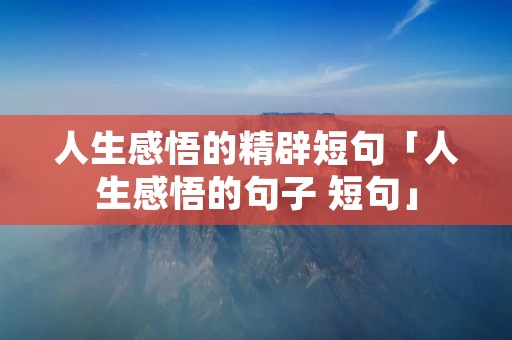 人生感悟的精辟短句「人生感悟的句子 短句」