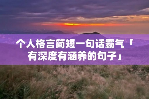 个人格言简短一句话霸气「有深度有涵养的句子」