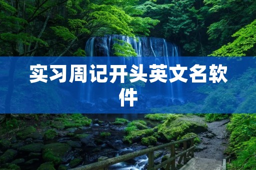 实习周记开头英文名软件