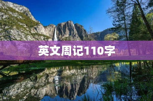 英文周记110字