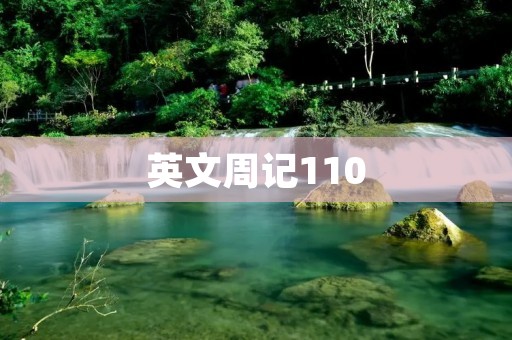 英文周记110