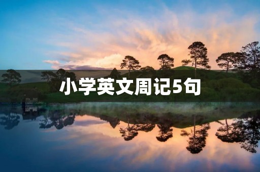 小学英文周记5句
