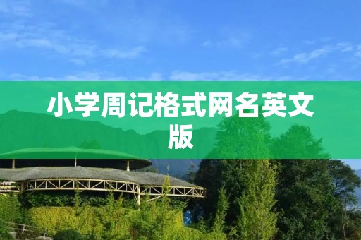 小学周记格式网名英文版