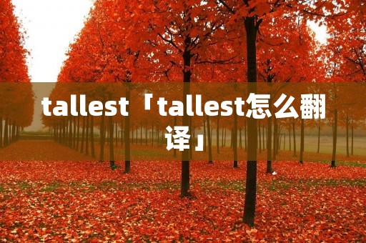 tallest「tallest怎么翻译」 tallest「tallest怎么翻译」