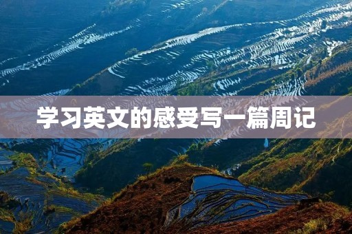 学习英文的感受写一篇周记