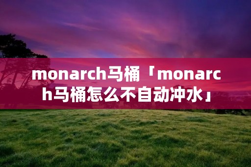monarch马桶「monarch马桶怎么不自动冲水」