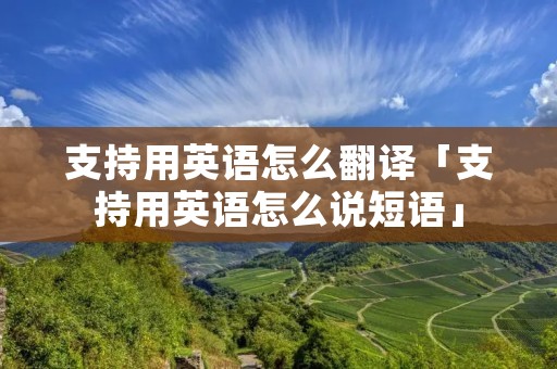 支持用英语怎么翻译「支持用英语怎么说短语」