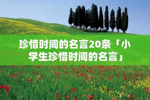 珍惜时间的名言20条「小学生珍惜时间的名言」