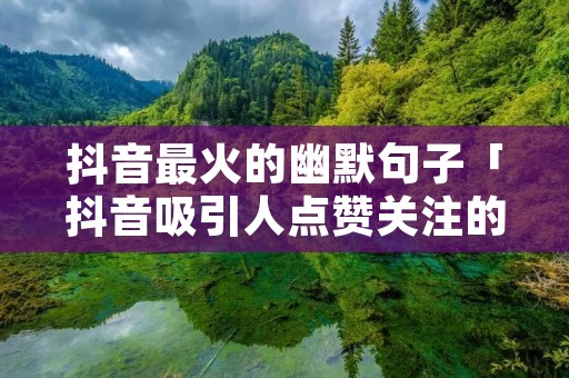 抖音最火的幽默句子「抖音吸引人点赞关注的句子」