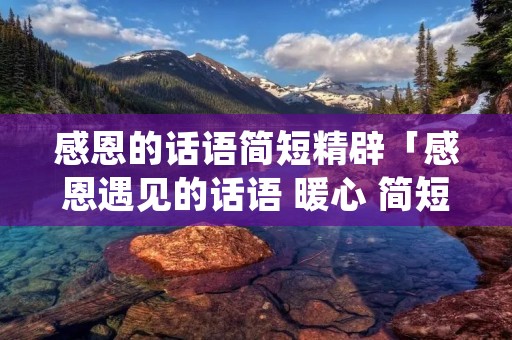 感恩的话语简短精辟「感恩遇见的话语 暖心 简短」