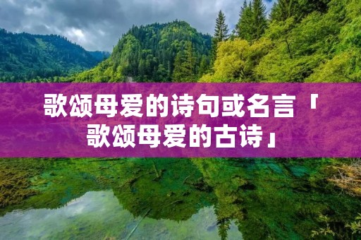 歌颂母爱的诗句或名言「歌颂母爱的古诗」