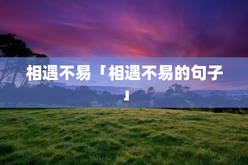 相遇不易「相遇不易的句子」