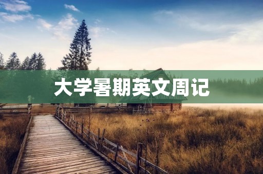 大学暑期英文周记