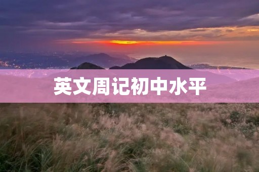 英文周记初中水平