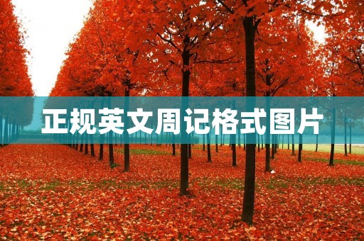 正规英文周记格式图片