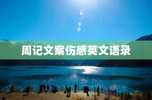 周记文案伤感英文语录