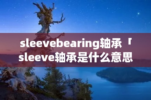 sleevebearing轴承「sleeve轴承是什么意思」