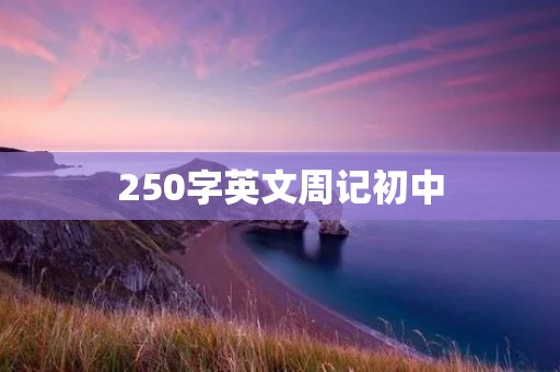 250字英文周记初中