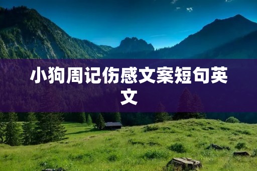 小狗周记伤感文案短句英文