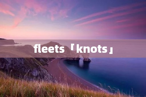 fleets「knots」