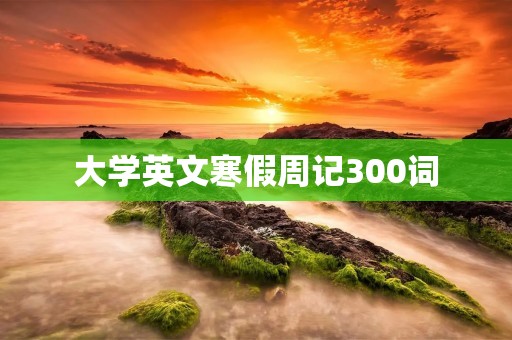 大学英文寒假周记300词