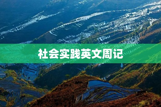 社会实践英文周记