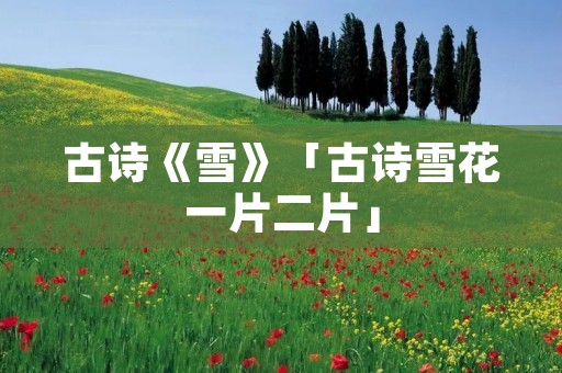 古诗《雪》「古诗雪花一片二片」