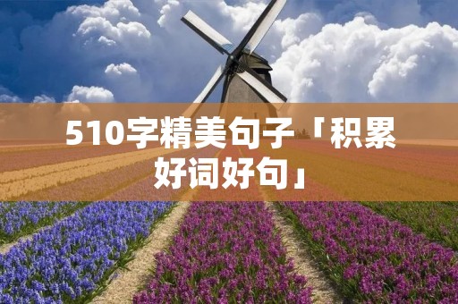 510字精美句子「积累好词好句」 510字精美句子「积累好词好句」